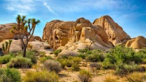 Joshua Tree National Park temperaturen, klimaat en het weer per maand