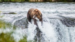 Katmai National Park temperaturen, klimaat en het weer per maand