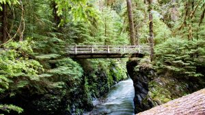 Olympic National Park temperaturen, klimaat en het weer per maand