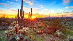 Saguaro National Park temperaturen, klimaat en het weer per maand