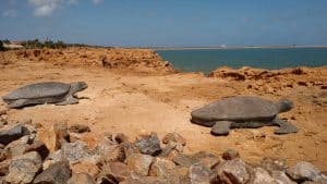 Port Hedland temperaturen, klimaat en het weer per maand