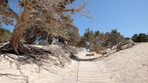 Chrisi temperaturen, klimaat en het weer per maand