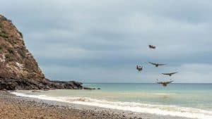 Isla de La Plata temperaturen, klimaat en het weer per maand