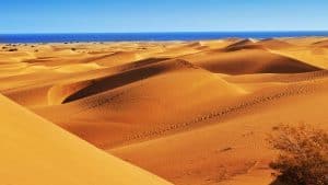 Maspalomas temperaturen, klimaat en het weer per maand