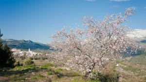 Weer en temperatuur in Confrides in mei 2015