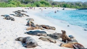 Weer Galapagoseilanden in juli 2019: temperatuur, zon en neerslag