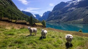 Loen temperaturen, klimaat en het weer per maand