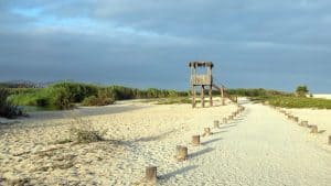 San José del Cabo temperaturen, klimaat en het weer per maand