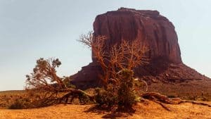 Oljato–Monument Valley temperaturen, klimaat en het weer per maand