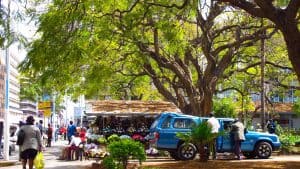 Zimbabwe temperaturen, klimaat en het weer per maand