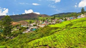 Darjeeling temperaturen, klimaat en het weer per maand