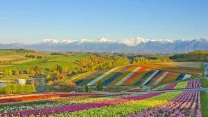 Hokkaido temperaturen, klimaat en het weer per maand