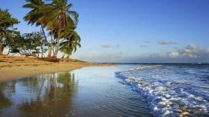 Las Terrenas temperaturen, klimaat en het weer per maand