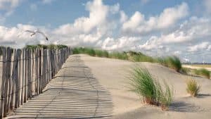 Weer en temperatuur in Sint Maartenszee in juli 2016