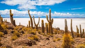 Weer en temperatuur in Isla Incahuasi in juli 2025