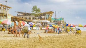 Montañita temperaturen, klimaat en het weer per maand