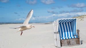 Oost-Friese Waddeneilanden temperaturen, klimaat en het weer per maand