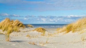 Nieuwvliet-Bad temperaturen, klimaat en het weer per maand