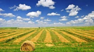 Saskatchewan temperaturen, klimaat en het weer per maand