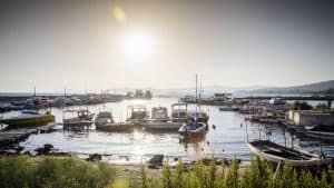 Weer en temperatuur in Gümüldür in juni 2025