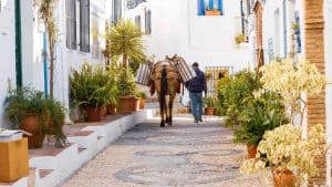 Frigiliana temperaturen, klimaat en het weer per maand