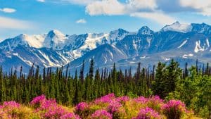 Yukon temperaturen, klimaat en het weer per maand