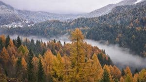 Montana temperaturen, klimaat en het weer per maand