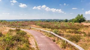 Twente temperaturen, klimaat en het weer per maand