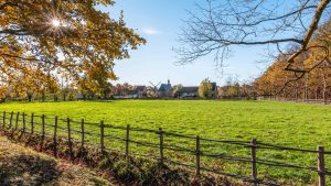 Weer en temperatuur in Haspengouw in mei 2025