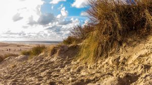 Koksijde temperaturen, klimaat en het weer per maand