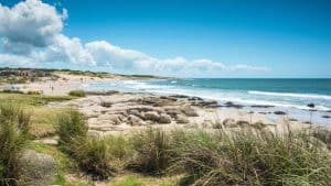 Rocha temperaturen, klimaat en het weer per maand