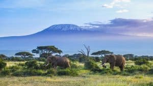 Kilimanjaro National Park temperaturen, klimaat en het weer per maand