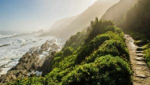 Weer en temperatuur in Nationaal park Tuinroete in juli 2025