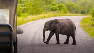 Het klimaat van Selous Game Reserve, temperaturen, zon & beste reistijd