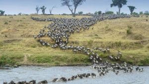 Serengeti National Park temperaturen, klimaat en het weer per maand