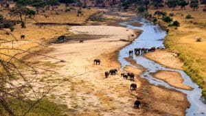 Tarangire National Park temperaturen, klimaat en het weer per maand
