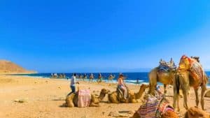 Weer en temperatuur in Ţābā in februari 2026