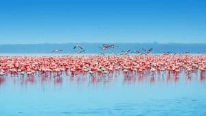 Nakuru temperaturen, klimaat en het weer per maand