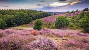 Gelderland temperaturen, klimaat en het weer per maand