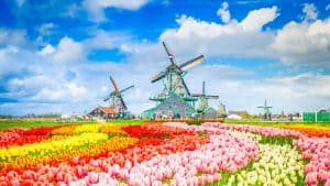 Noord-Holland temperaturen, klimaat en het weer per maand
